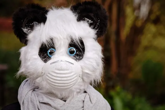 BetOriginal Kasíno Podpora